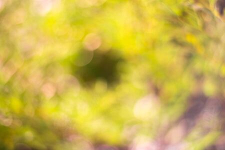 abstract blur background.の写真素材