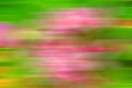 Blurred nature backgroundの写真素材