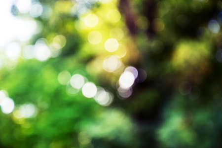 abstract background vintage bokehの写真素材