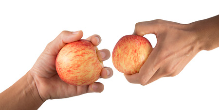 Ripe red applesの写真素材