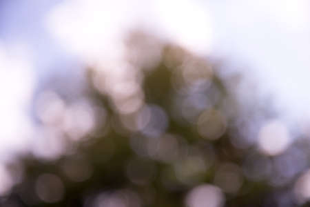 bokeh background