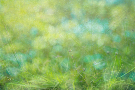 Abstract nature backgroundの写真素材