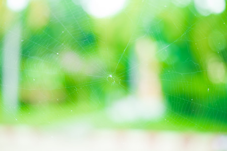 autumn nature out of focus background, good for backdropの写真素材