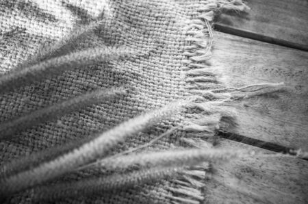 Abstract grass background black and white toneの写真素材