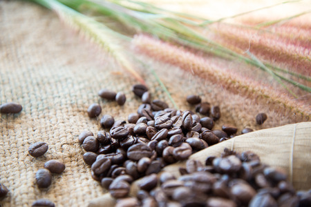 coffee beansの写真素材