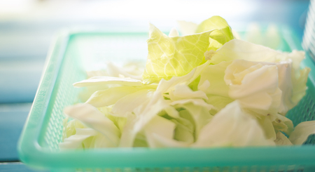 cabbageの写真素材