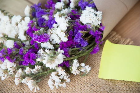 Limonium sinuatum Statice Salem flower