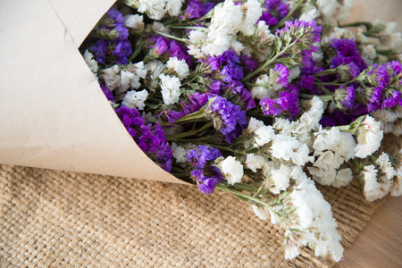 Limonium sinuatum Statice Salem flowerの写真素材