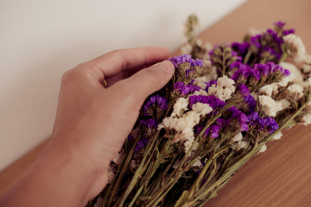 statice in vintage tone.の写真素材