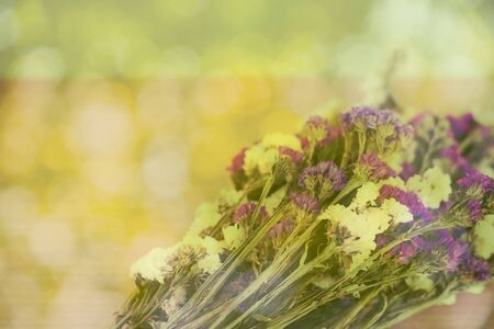 statice in vintage tone.の写真素材