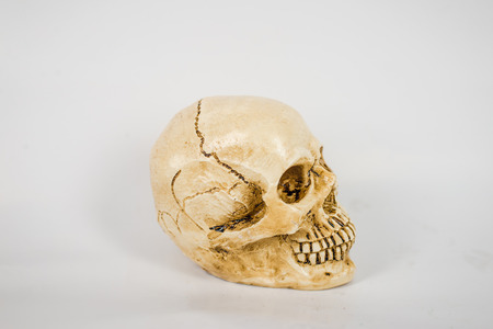 Human skull in vintage tone.の写真素材