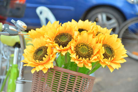 flowersの写真素材