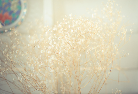 blurred little flowersの写真素材