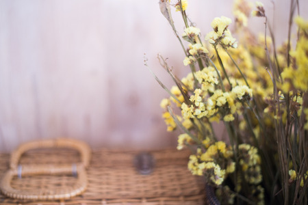 flowersの写真素材