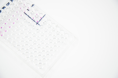 micro plate in laboratory.