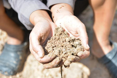 Planting a tree.