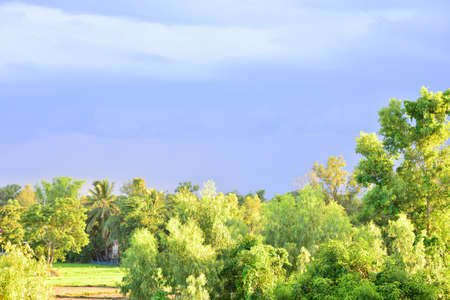 blue clouds