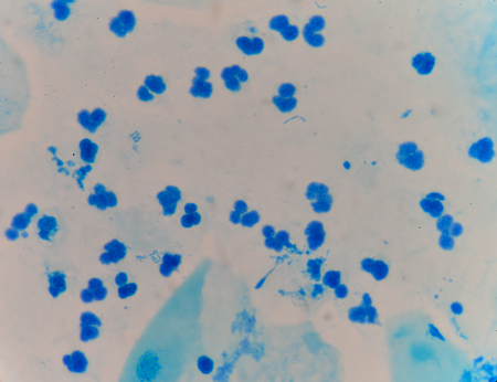 Blue cells background.Medical background concept.の写真素材