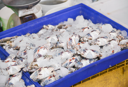 see foodの写真素材