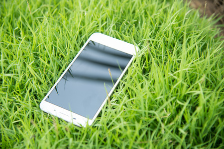 Mobile smart phone in green grassの写真素材