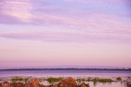 Pink sky Sunset with sun rays, sky with clouds and sun.の写真素材