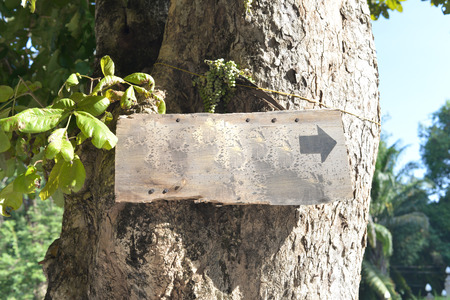 Grunge backgroundの写真素材