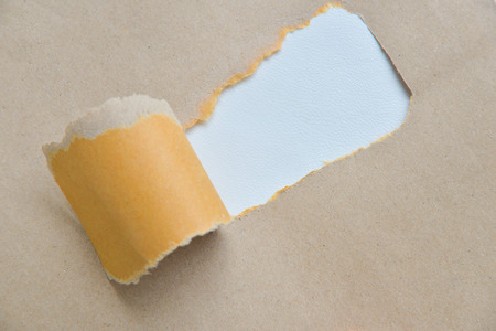 Ripped paper space for copy.の写真素材
