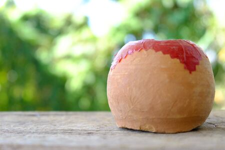 firecracker isolated on green backgroundの写真素材