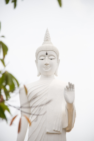 white Buddhaの写真素材