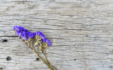 statis flowers on wood texture.の写真素材