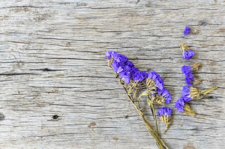 statis flowers on wood texture.の写真素材