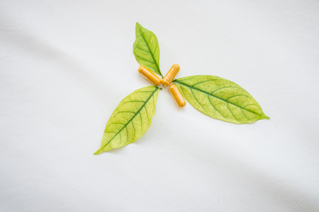 pill on Herb concept.の写真素材