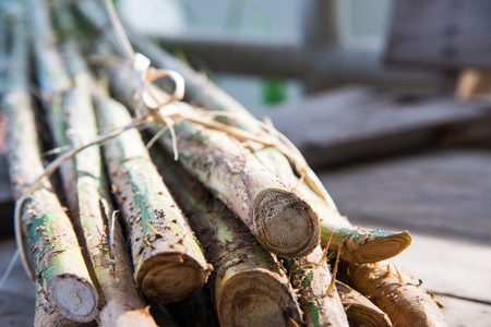Rattan palm raw food Thai food .の写真素材