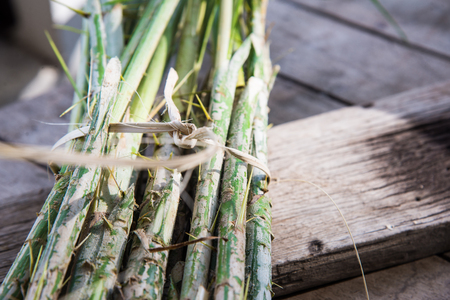 Rattan palm raw food Thai food .の写真素材