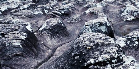 stone texture.の写真素材