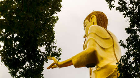 Buddha in temple Thailand.の写真素材