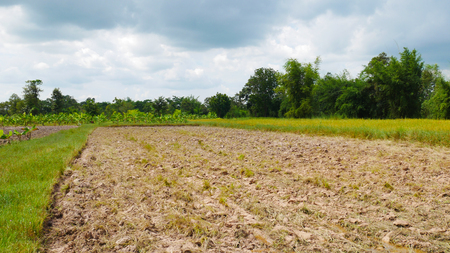 farmlandの写真素材