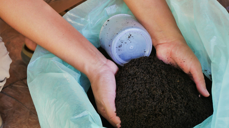 Bio fertilizer