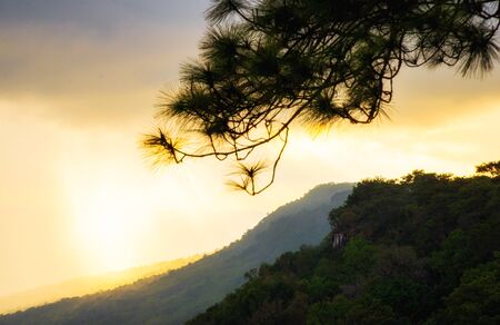 Beautiful Sunray nature background.の写真素材