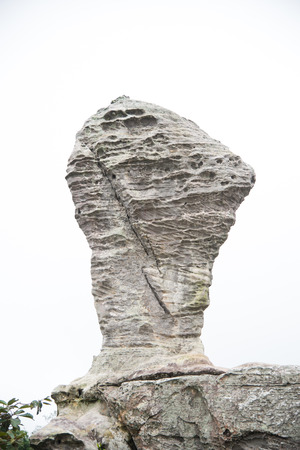 Close up big stone on green nature.の写真素材