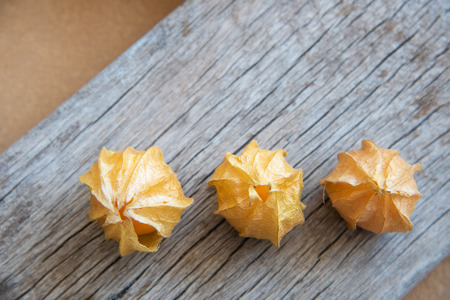 Yellow cape gooseberry fruit on wood texture.look like egg.の写真素材