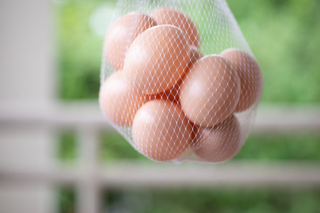 Close up Group of eggs on green blur background.の写真素材