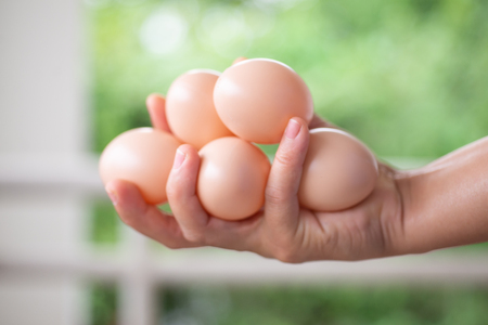 Close up Group of eggs in hand on green blur background.の写真素材