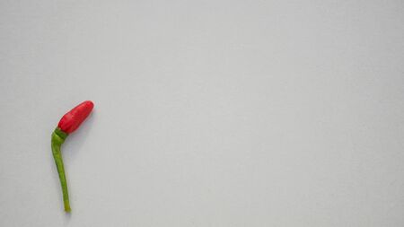 Close up Red chilli on white background.の写真素材