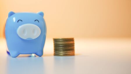 Group of coin with blue pig on blurred background in saving money concept.