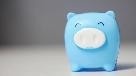 Close up blue pig on blurred background in saving money concept.の写真素材