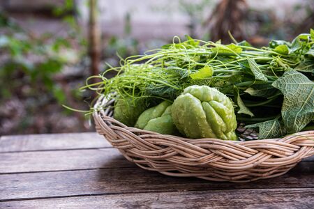 Green fresh chayote in bamboo basket for cook.の写真素材