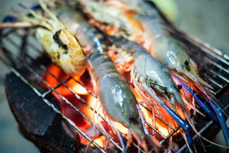 Grilled Shrimp on Charcoal stove cooking concept.の写真素材