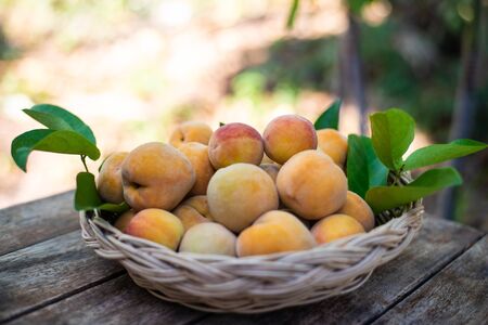 Close up group of peachs fruit on wood table.の写真素材