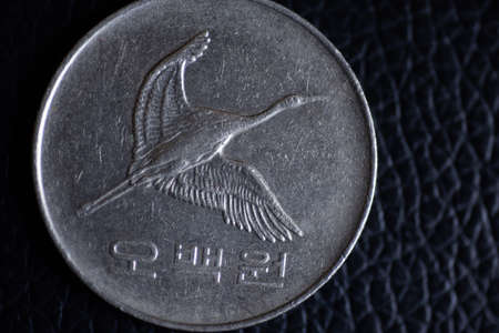 Close up coins with macro lens 500 Won coins.の写真素材